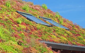 Waddingworth living roof systems